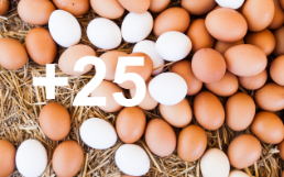 Oeufs